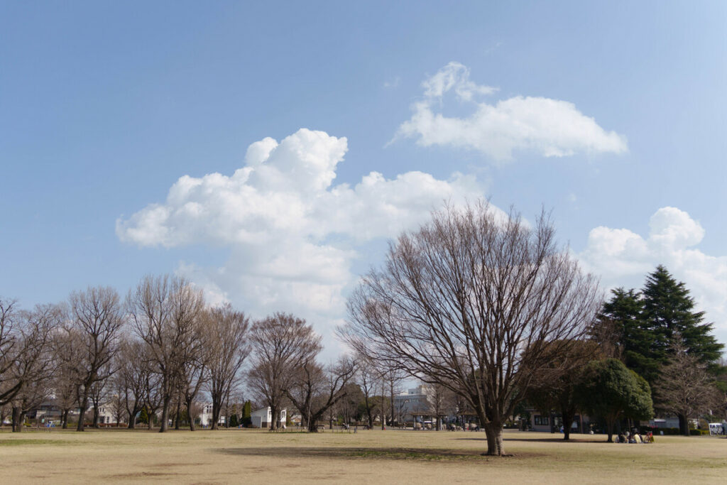 武蔵国分寺公園の円形広場と雲 (2023年3月10日撮影)