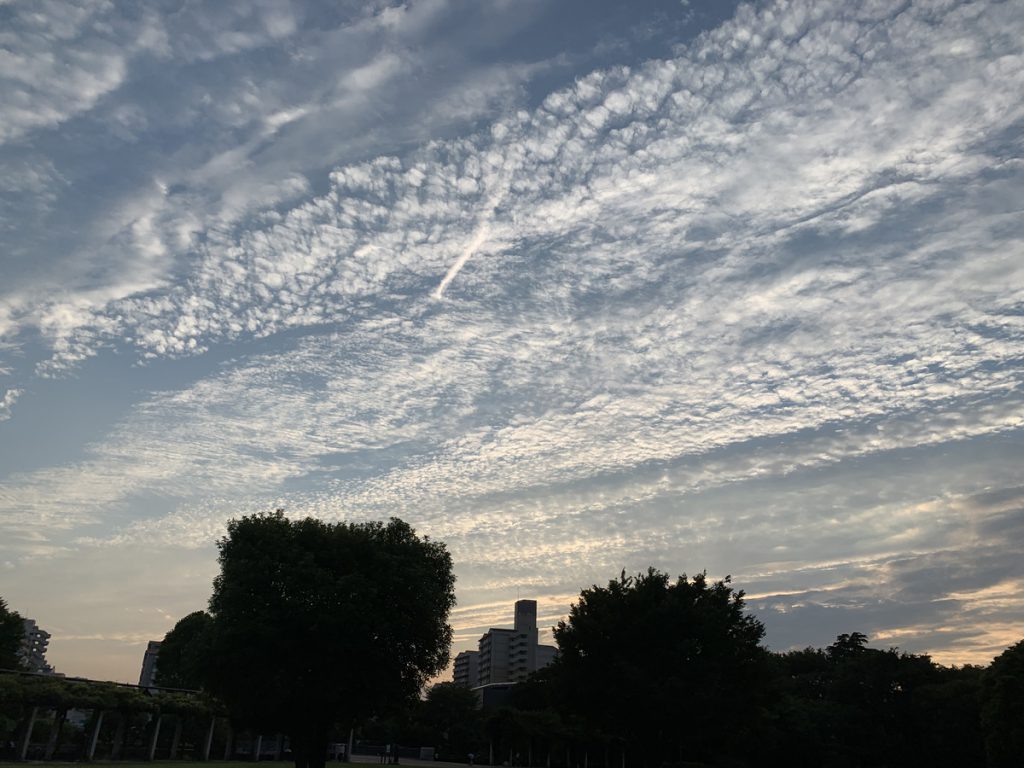 武蔵国分寺公園の円形広場で見る雲　(6月21日　18時30分頃撮影)