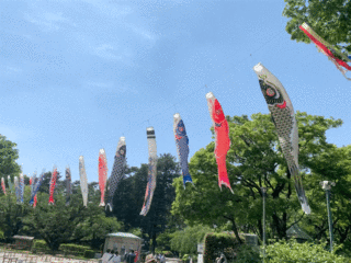 江戸東京たてもの園の空を泳ぐこいのぼり (2022年5月5日撮影)