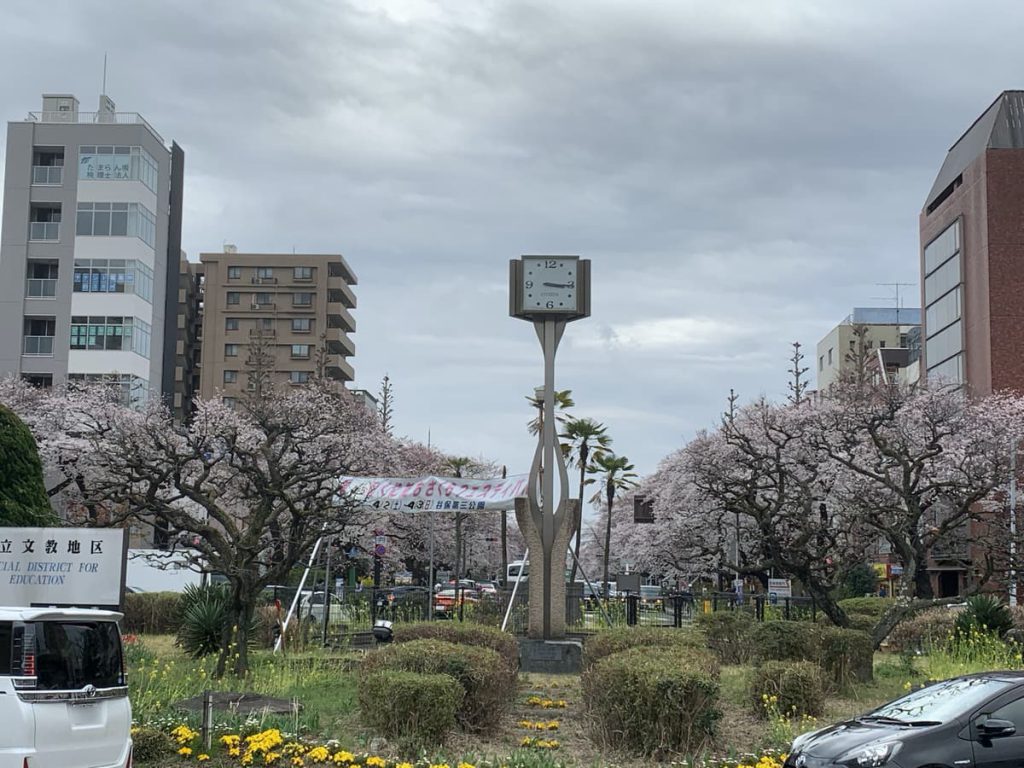 国立駅から見た学園通りの桜並木 (2022年3月27日撮影)