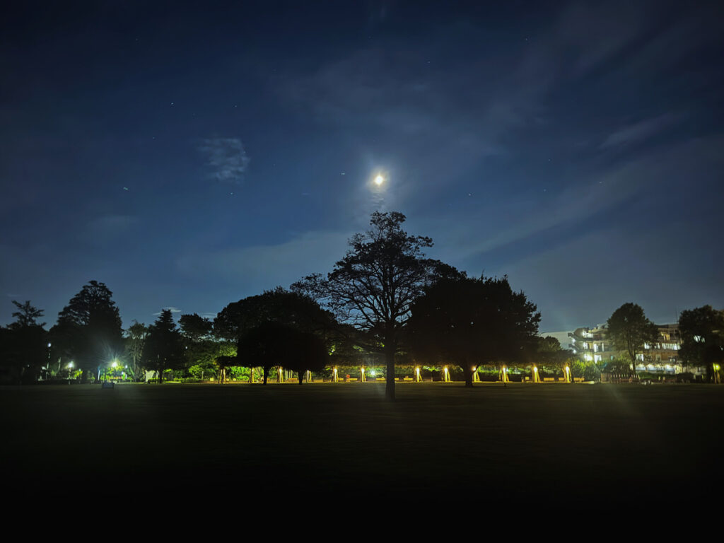 月夜の公園 (2026年9月17日撮影)