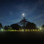 月夜の公園 (2026年9月17日撮影)