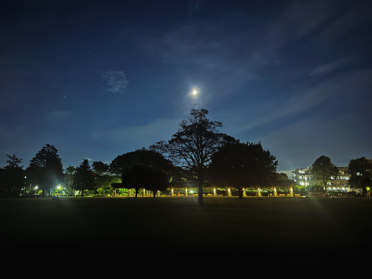 月夜の公園 (2026年9月17日撮影)