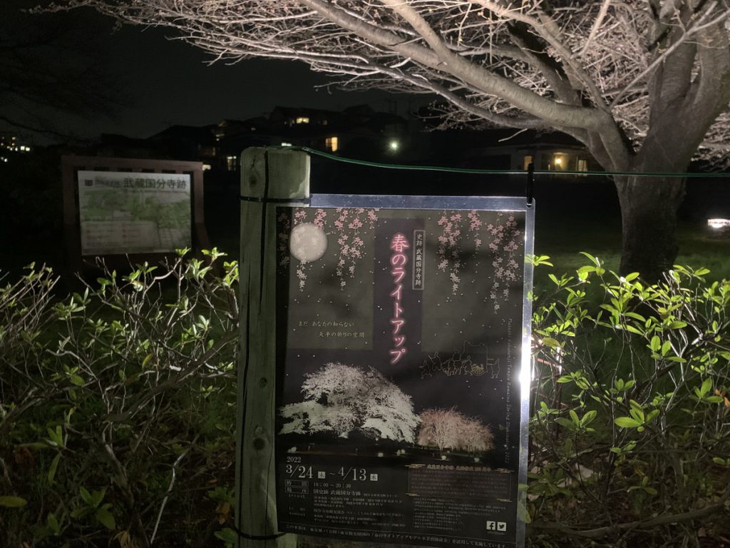 武蔵国分寺跡、春のライトアップ