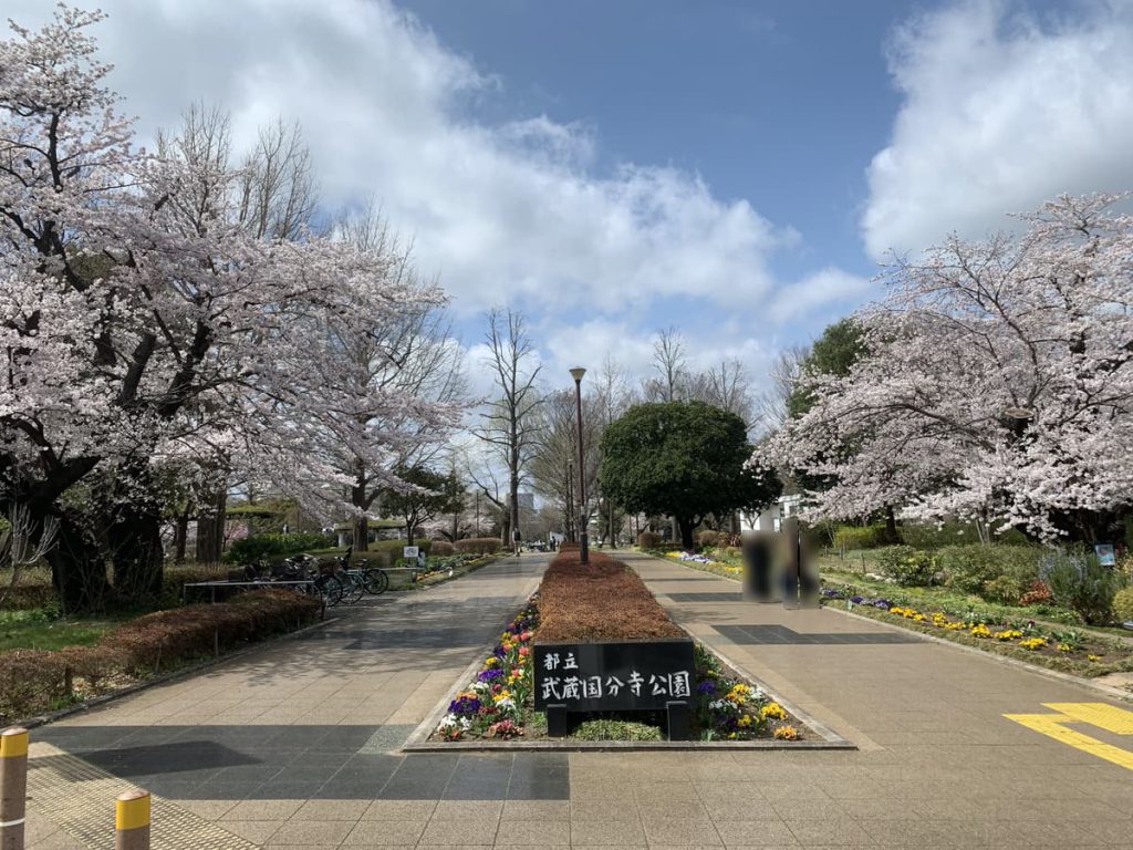 武蔵国分寺公園の泉・南東口に咲く桜 (2022年3月30日撮影)