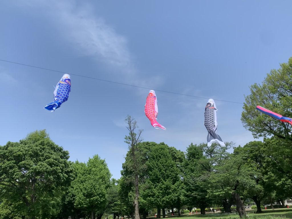 武蔵国分寺公園の空を泳ぐ鯉のぼり (静止画)