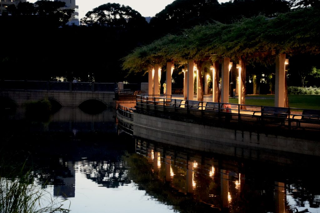 武蔵国分寺公園の武蔵の池の夜景