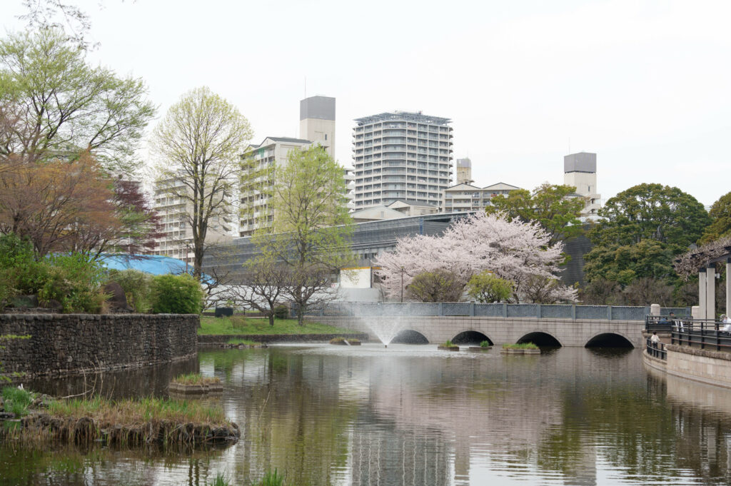 桜と武蔵の池 (2023年3月31日撮影)