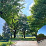 武蔵国分寺公園　アイキャッチ画像