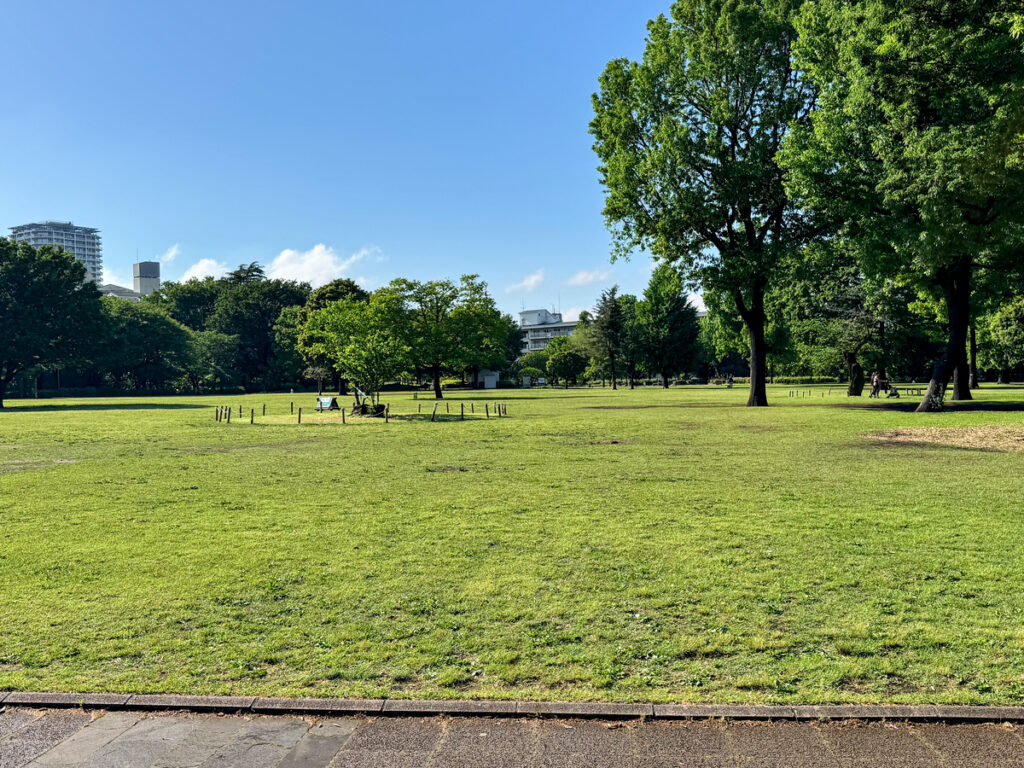武蔵国分寺公園　円形広場 (2026/05/01)