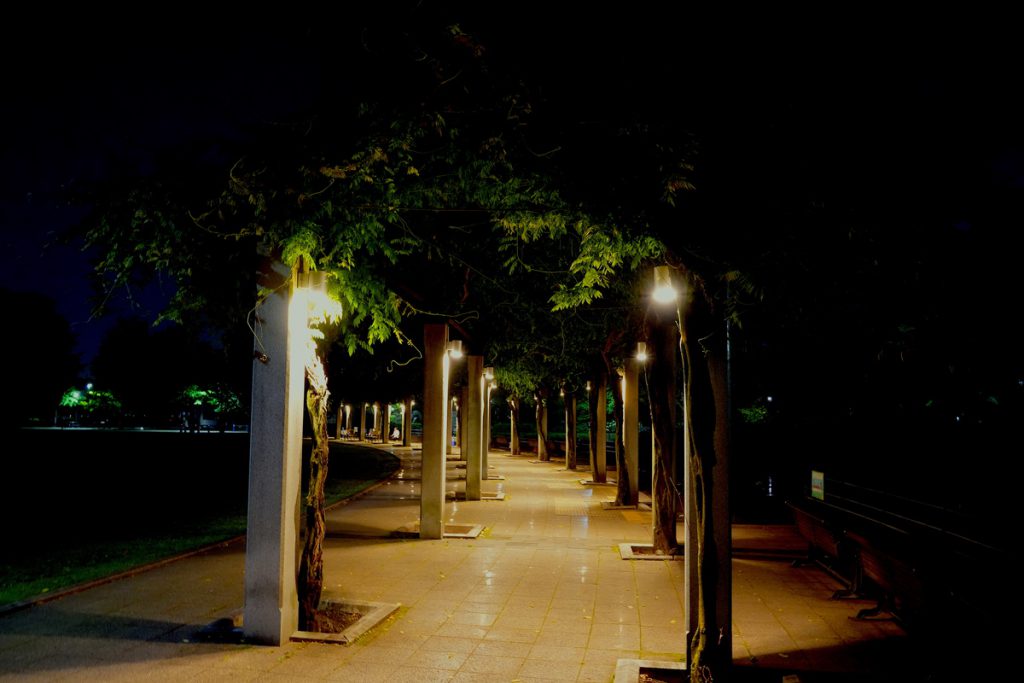 武蔵国分寺公園のフジの回廊の夜景