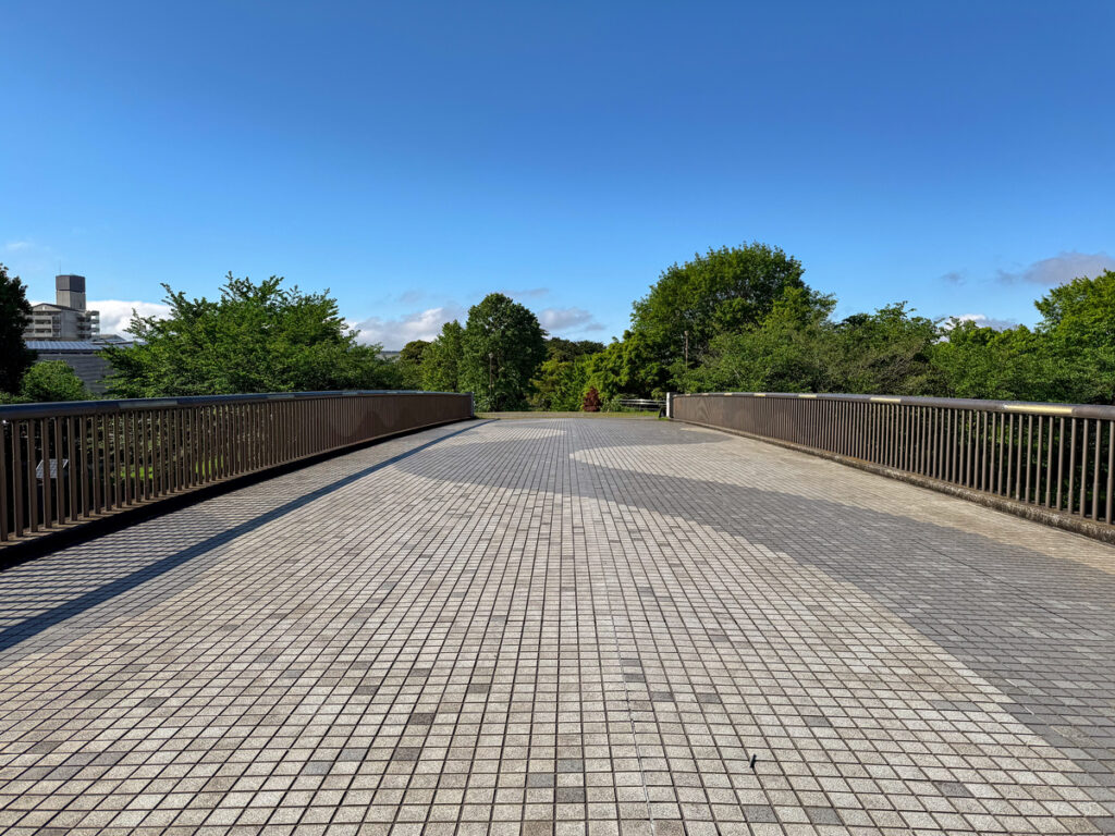 武蔵国分寺公園　ふれあい橋 (2026/05/01)