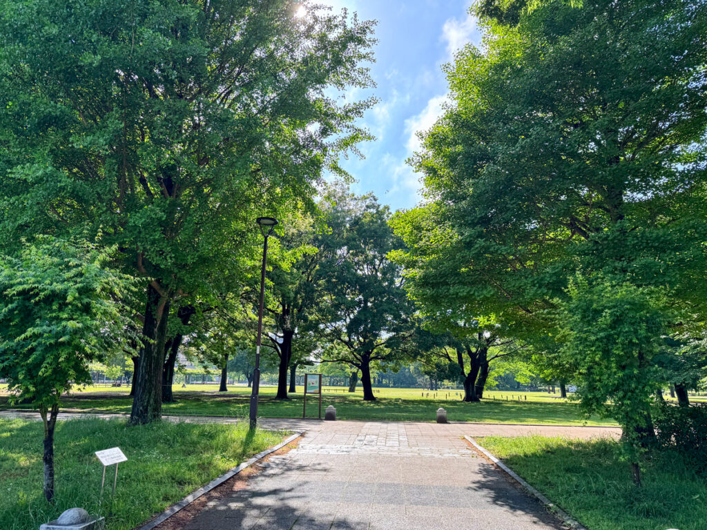 武蔵国分寺公園　泉エリア (2026/05/01)