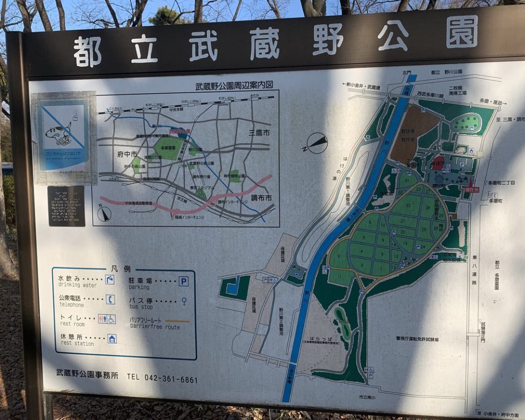 都立武蔵野公園のマップ