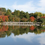 日本庭園の池から木橋を眺める (2022年10月30日撮影)