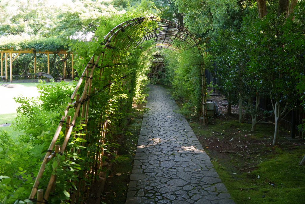 殿ヶ谷戸庭園の萩のトンネル (2022年9月10日撮影)