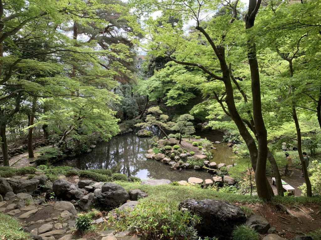 新緑がまぶしい殿ヶ谷戸庭園の次郎弁天池 (2022年4月16日撮影)